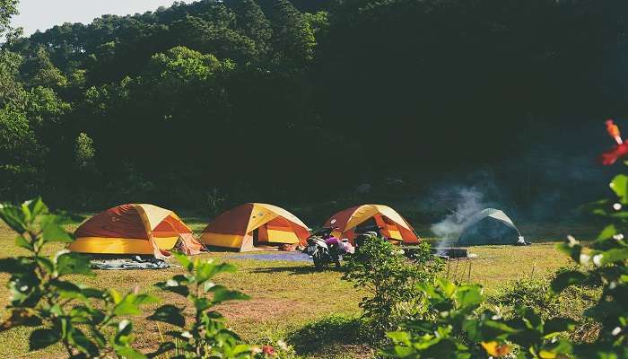 Unwind in nature’s lap—book your Pangot camping trip now!