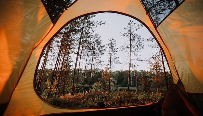 enjoy camping close to nature at Kottachedu Teak Forest