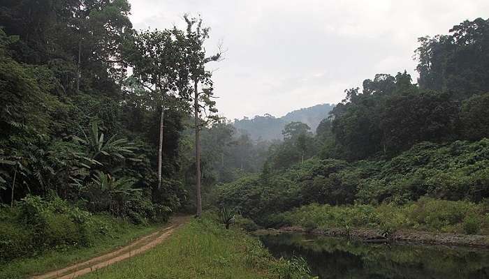 Enter and explore the mysterious Chao Le Cave at the Than Bok Khorani National Park in Thailand