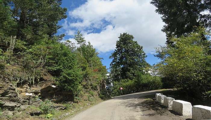 Chele La Pass near Lhakhang Thimphu.