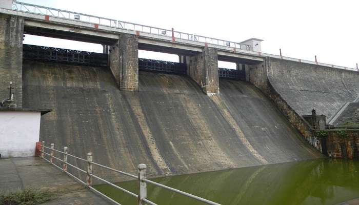 Walayar Dam has serene view amidst lush greenery 