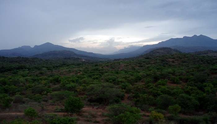 Chinnar Wildlife Sanctuary