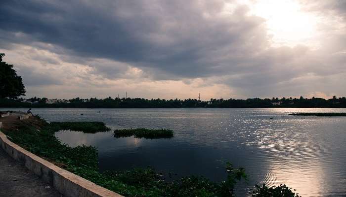  The serene view of Chitlapakkam Lake near hotels in Pammal 
