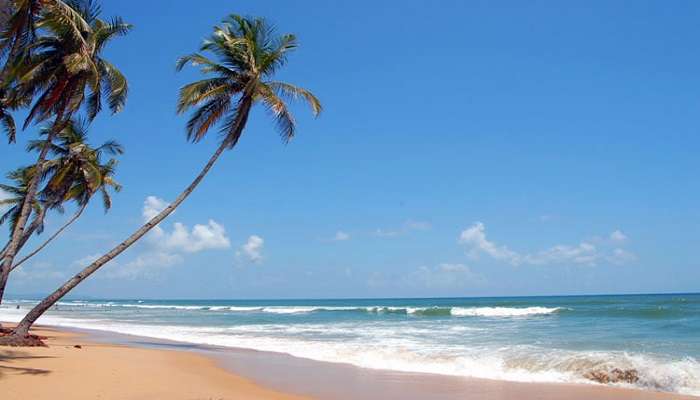 Picture perfect view of Colva Beach near the Bondla Wildlife Sanctuary