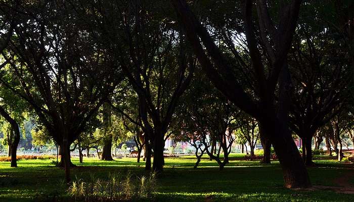 visit the cubbon park in Bangalore to get the serene landscapes.
