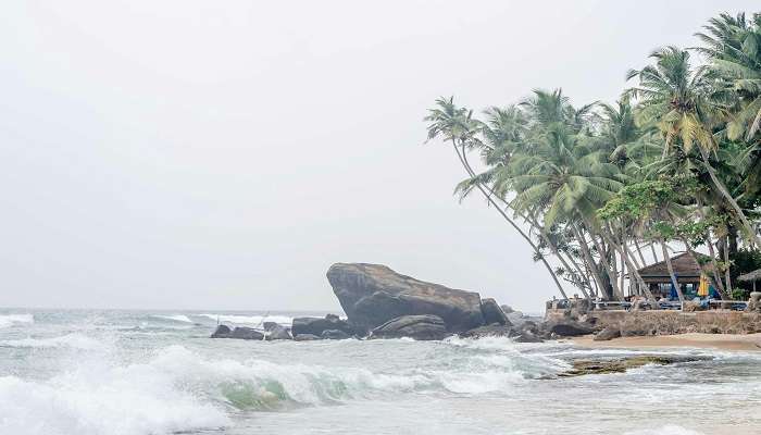 Sweeping view of Dalawella Beach, located in Sri Lanka.