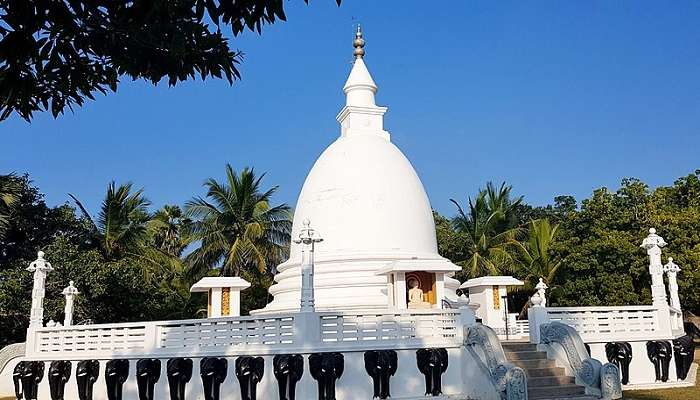 Dambakola Patuna Sangamitta Temple near restaurants in Jaffna