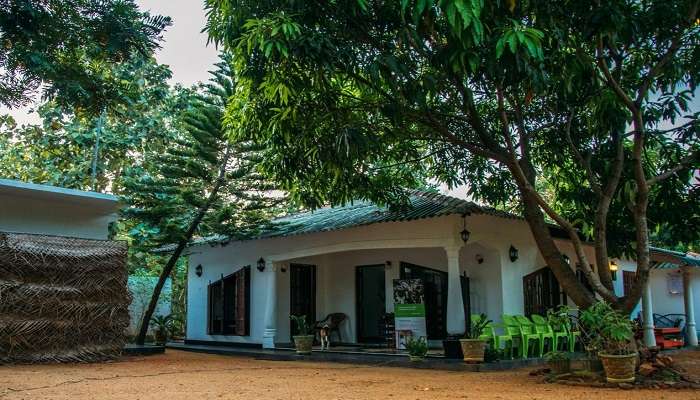 Dambulla City Hostel provides an economy dormitory and private rooms.