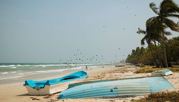 Delft Island, up north of Sri Lanka 