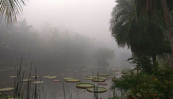 The mist over a river in the Dindi Resorts