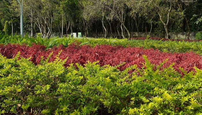 The beautifully landscaped Sankey Tank Garden is a serene retreat.