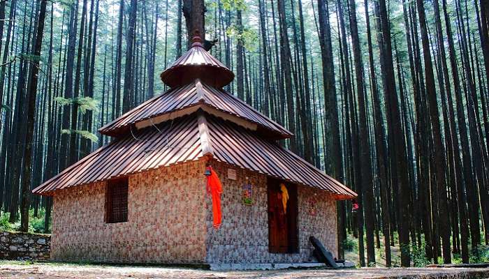 Ancient Devalsari Temple nestled in the deodar trees