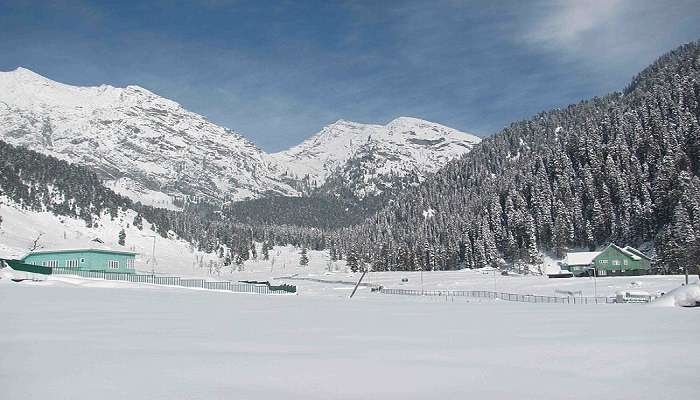 Lidderwat camping site 12 km away from Aru Valley with beautiful scenery.