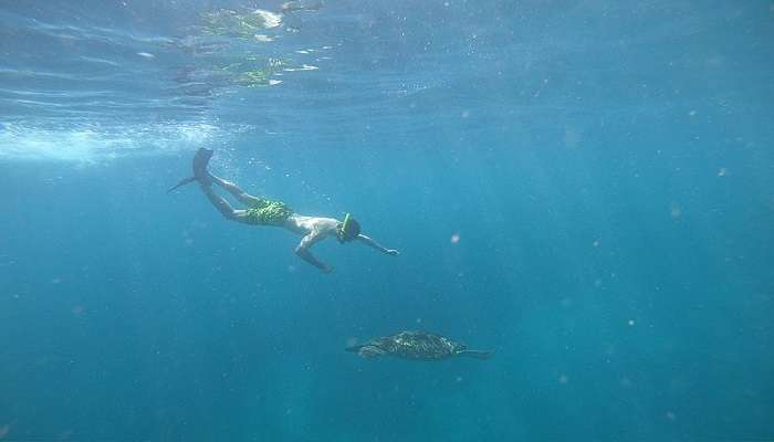 tourist enjoying snorkeling at point pedro beach