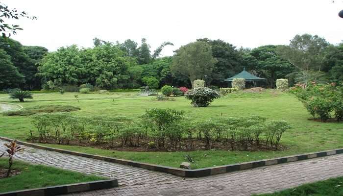 The lush green of Domlur Park 