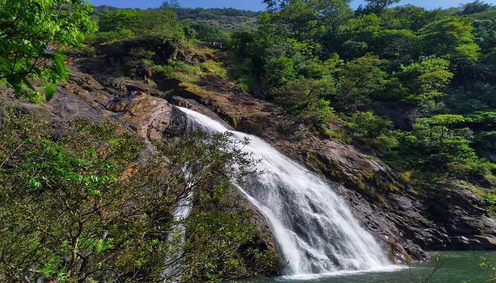 another waterfall named Dudhsagar Waterfall, a picturesque spot near Shree Damodar Temple.