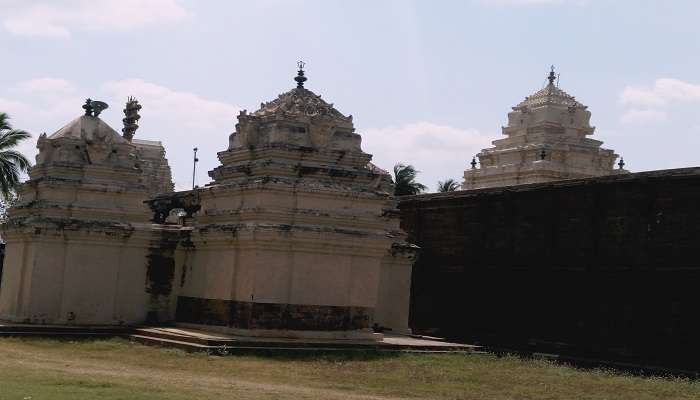 the iconic surroundings of the Draksharamam temple