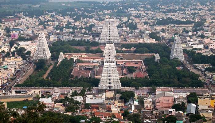 Dravidian architecture is one of the most stunning types of architectures in the world