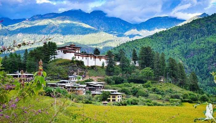 Ensconced in the lap of lush mountains is Drukgyel dzong