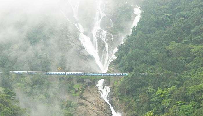 Take a train journey to witness the majestic Dudhsagar Waterfall 