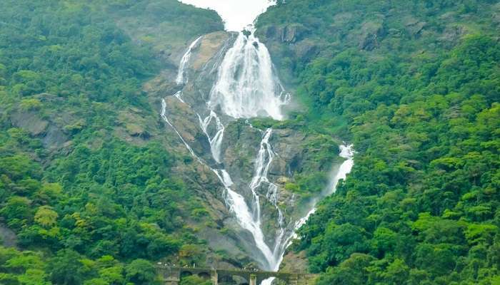 Breath-taking views of Dudhsagar Falls 