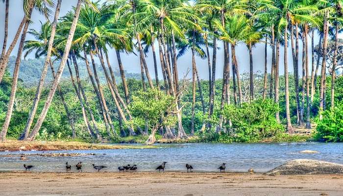 Explore the northern end of Agonda Beach right where the river meets the sea.