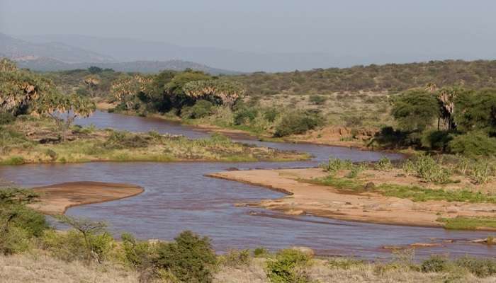 Riverside Scenery at Shaba National Reserve