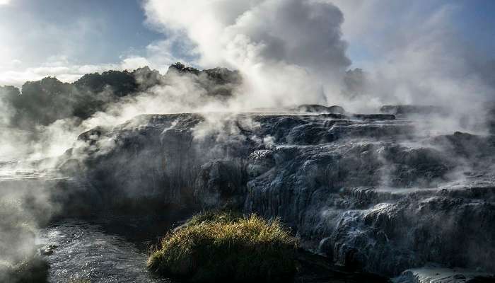 A scenic view of Te Puia thermal park in Rotorua, showcasing the lush greenery and geothermal features of the area.