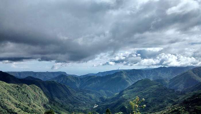 Lush green forest views of the surrounding hills near Shillong Peak