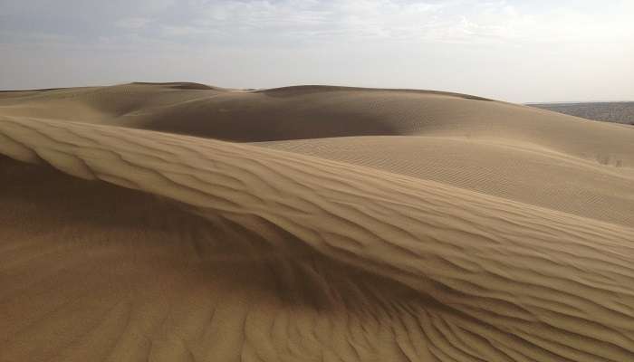 Jeep Safari in Sam Sand Dunes, Thar Desert 