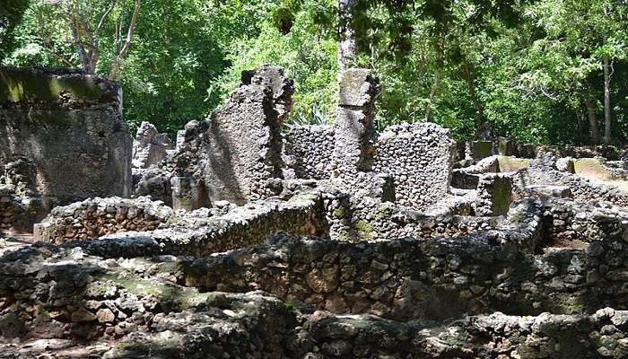 Ruins of Gedi, Kenya that you must visit
