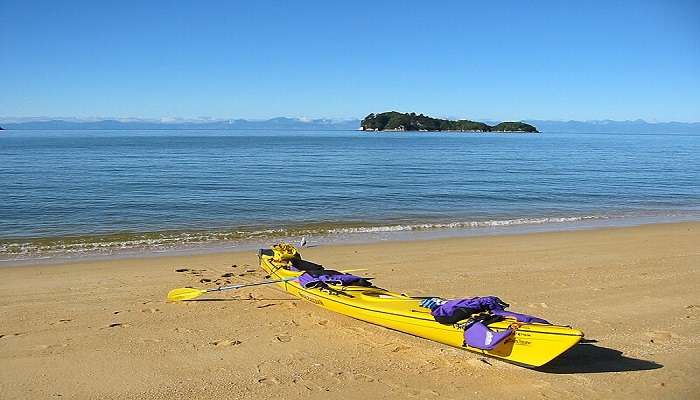 Experience paddling through the waters of Agonda in a kayak
