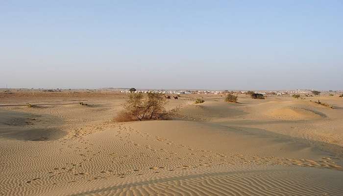 A mesmerising view of the desert. 