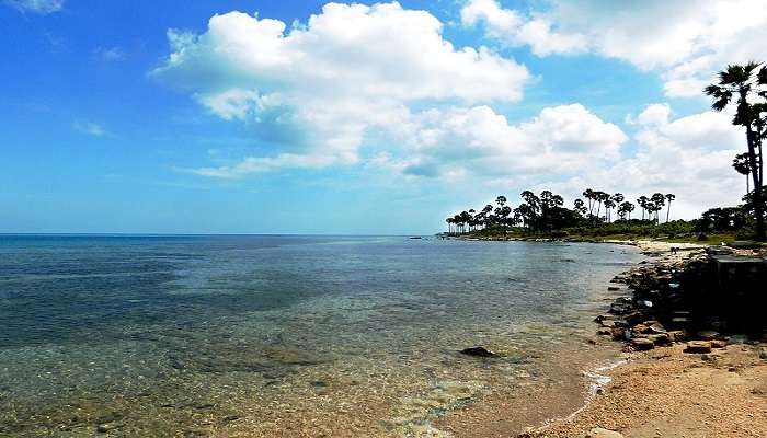 Golden Sands and Clear Waters in Point Perdo Beach