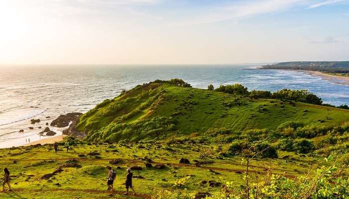 Grand Island, C’est l’une des meilleurs endroits à visiter dans le nord de Goa