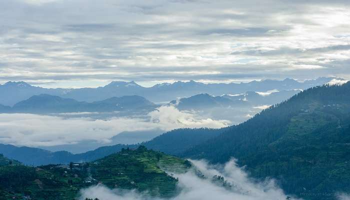 Visit the Great Himalayan National Park near the Inderkilla National Park