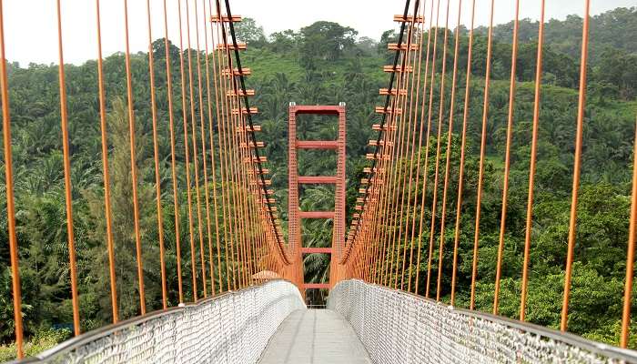 Hanging bridge near Thumboormuzhi Dam 
