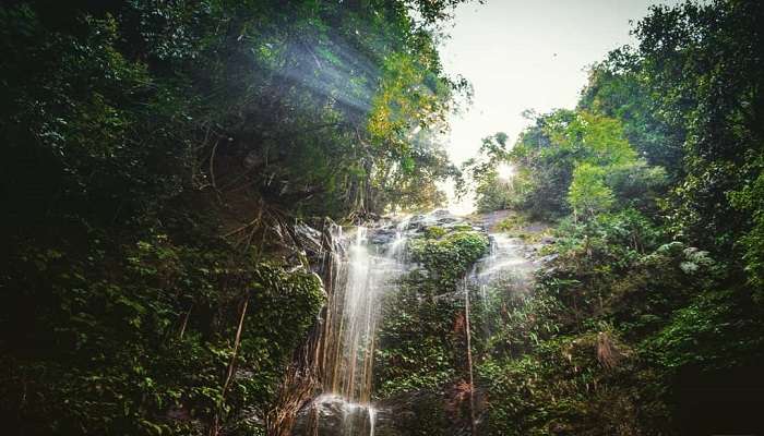 Hidlumane Falls is an exciting journey through the dense vegetation