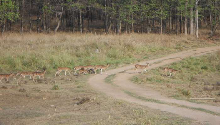 Hiking tour trail at sanctuary 