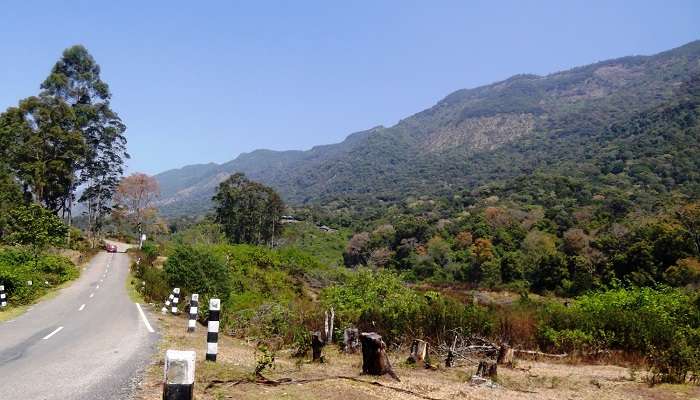 Hill View Park near Idukki Wildlife Sanctuary