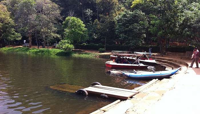 The serene Pookot Lake that has captivated hearts 