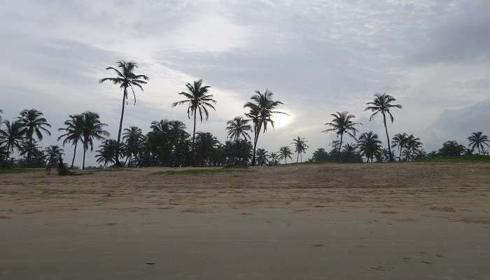 An early morning walk at the Benaulim beach