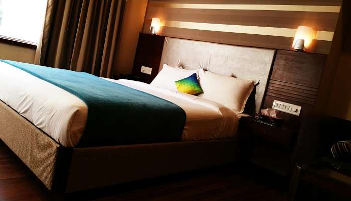 Enjoy a luxurious stay at the Hotel Mayur, one of the popular hotels near Bilaspur 