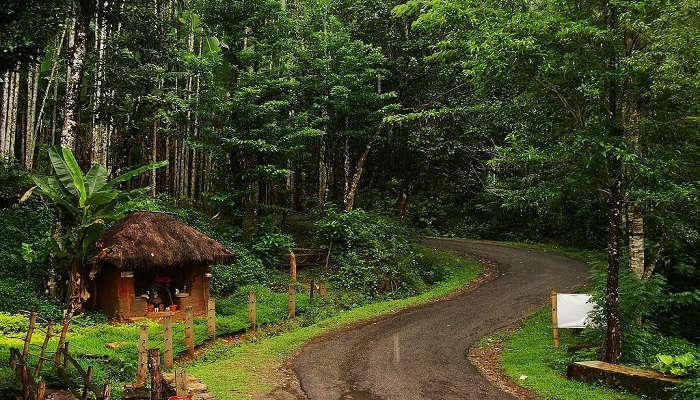 ScenicAnd Adventurous Roads enroute to Agumbe