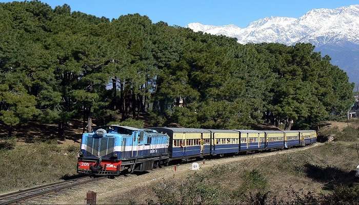 Reach to the Inderkilla National Park by train.