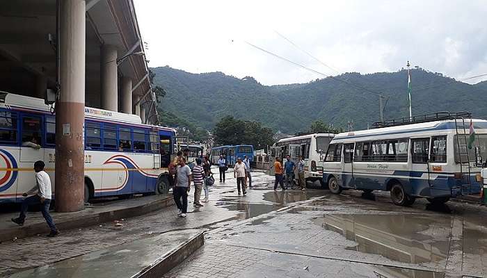 There are many buses from Delhi Chandigarh Dharamshala and McLeodGanj to Naddi