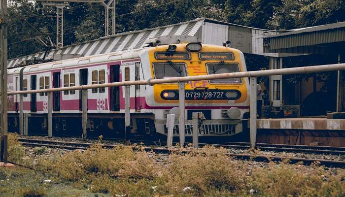 Train near the platform to reach the Nilgiri Biosphere Nature Park.