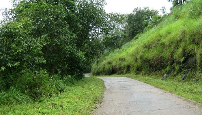 A shot of a lane in Vandiperiyar amidst forest during monsoon season