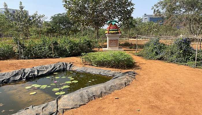 Support conservation efforts at Hyderabad Botanical Garden – visit today!