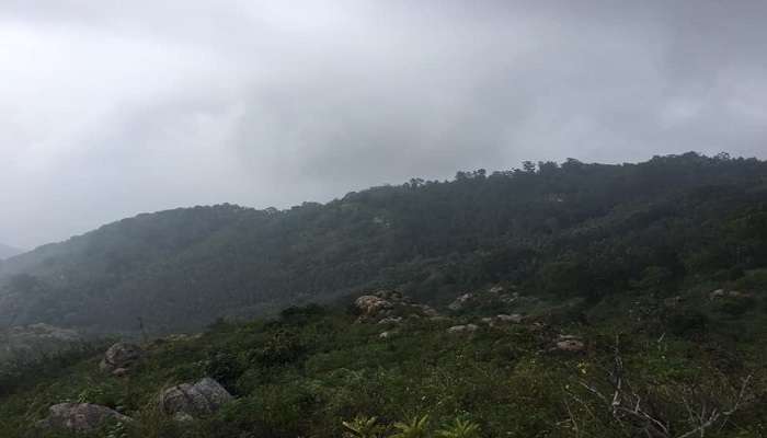 views of cliffs from Tipperary viewpoint Yercaud